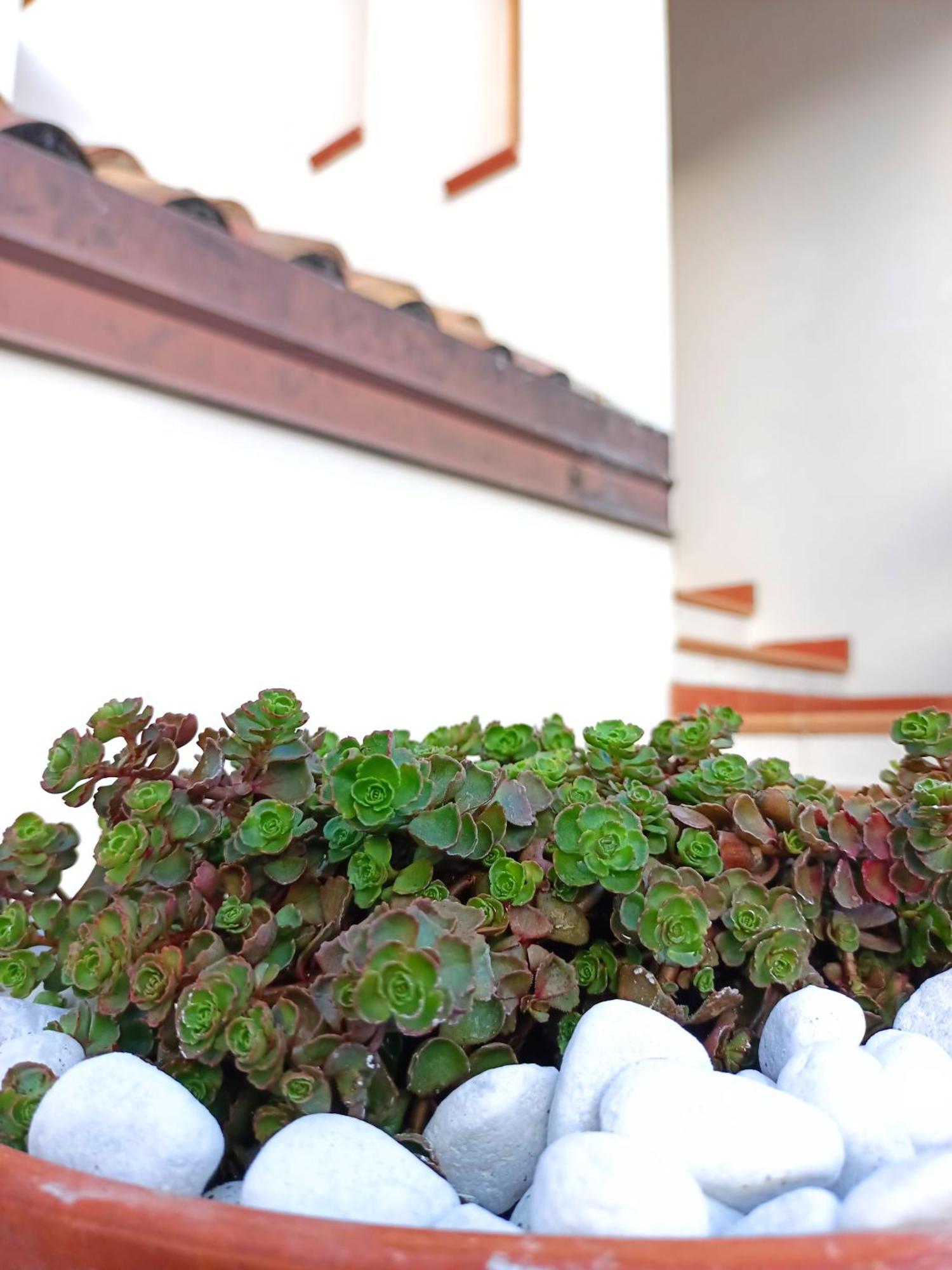 Le Sorgenti Guest House Ilbono Exterior foto