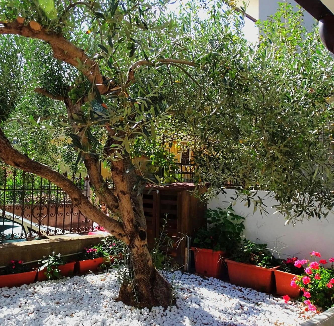 Le Sorgenti Guest House Ilbono Exterior foto