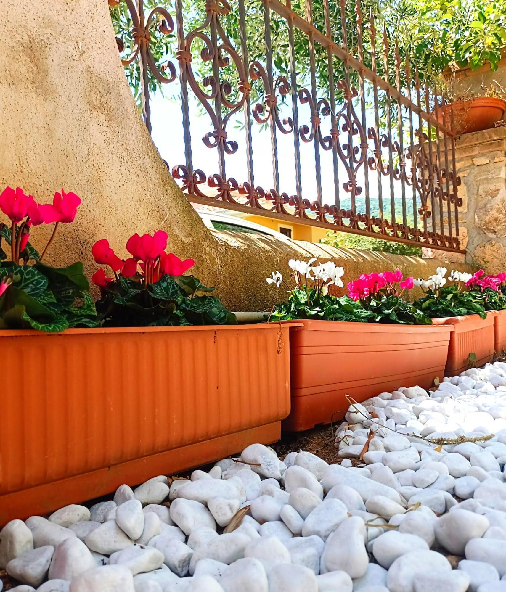 Le Sorgenti Guest House Ilbono Exterior foto